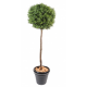 Eucalyptus artificiel boule sur tige H110cm - Ø45cm