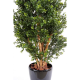 Buis artificiel new buisson UV 70 et 80cm