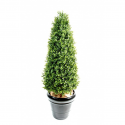 Buis artificiel UV topiaire H70-130-170-210cm
