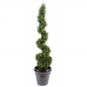 Buis artificiel UV Spirale fine H130 & 160cm