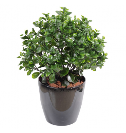 Peperomia artificiel Plast Buisson Hauteur 60cm Ø50cm