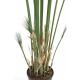 Papyrus artificiel Cyperus 125 et 155cm