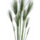 Papyrus artificiel Cyperus 125 et 155cm