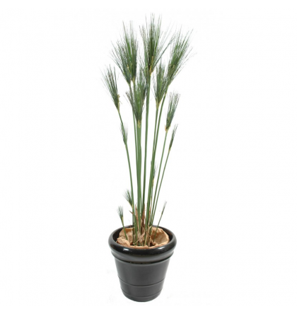 Papyrus artificiel Cyperus H125 & 150cm
