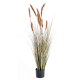 Foxtail artificiel 90 et 120cm