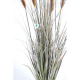 Foxtail artificiel 90 et 120cm