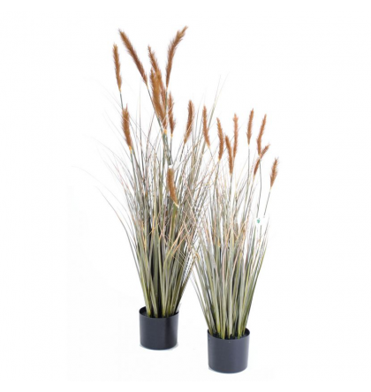 Foxtail artificiel H90 & 120cm