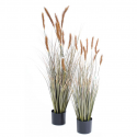 Foxtail artificiel H90 & 120cm