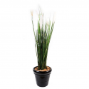 Carex artificiel (Laiche des renards) 170cm | graminée artificielle