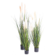 Carex artificiel GF 120 à 180cm