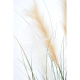 Carex artificiel GF 120 à 180cm