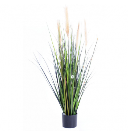 Carex artificiel GF 120 à 180cm | graminée artificielle