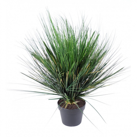 Onion Grass artificiel round 60 à 75cm
