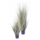 Onion Grass New artificiel 75 et 105cm