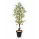 Dracena reflexa artificiel H110cm