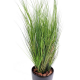 Onion Grass New artificiel vert 105cm