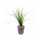 Herbe onion grass artificielle 55cm