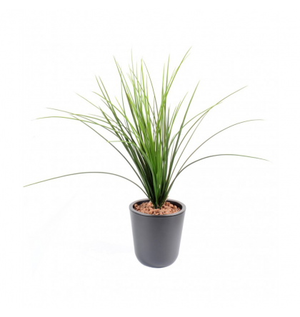 Herbe onion grass artificielle 55cm