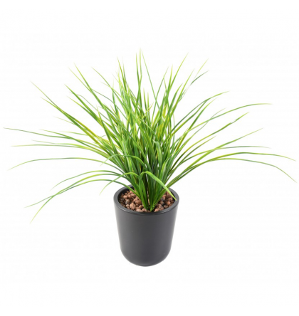 Herbe artificielle Juncus 50cm | Graminée artificielle