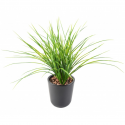 Herbe artificielle Juncus 50cm | Graminée artificielle