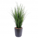 Herbe artificielle fine 60cm | Graminée artificielle