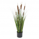 Roseau Cattail artificiel 90 à 150cm | Graminée artificielle