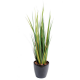 Onion Grass Large artificiel 110cm