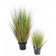 Onion Grass GF artificiel 55 et 90cm