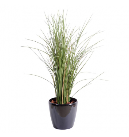 Herbe Honey Grass artificiel 80 et 110cm