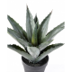 Agave artificielle 45cm