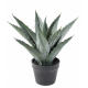 Agave artificielle 45cm