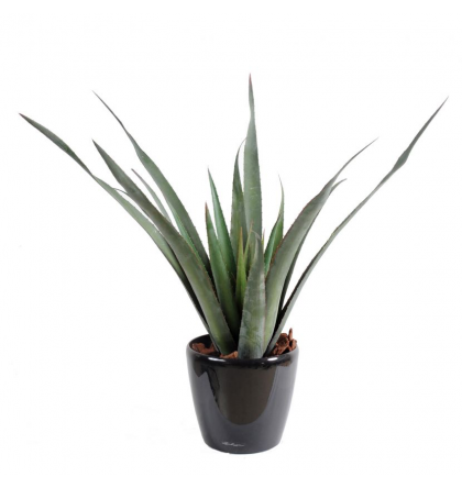 Aloevera Ferox artificielle 65cm