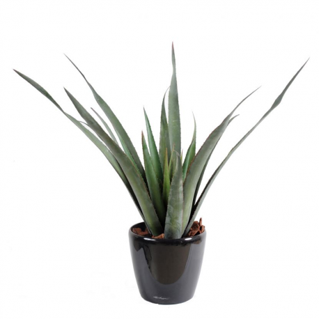 Aloevera Ferox artificielle 65cm