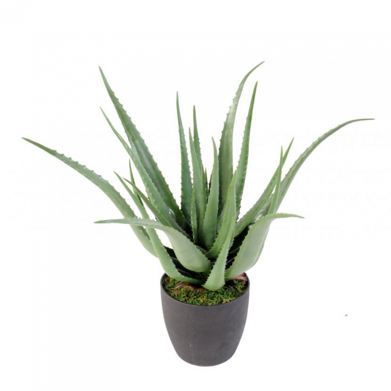 Aloevera artificielle 60 et 70cm, plante grasse artificielle, VIVA VERDE