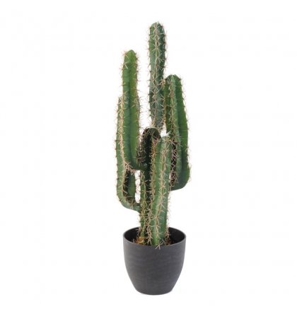 Cactus artificiel Finger 75 à 185cm