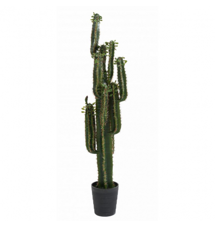 Cactus artificiel B Finger H150cm