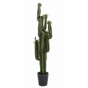 Cactus artificiel B Finger H150cm