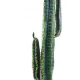 Cactus artificiel Cereus 70 à 160cm