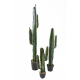 Cactus artificiel Cereus 70 à 160cm
