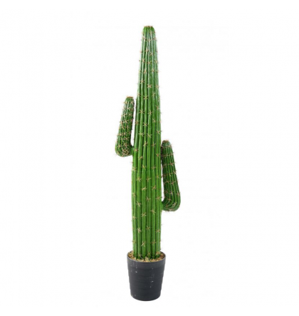 Cactus artificiel Mexico H140cm