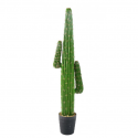 Cactus artificiel Mexico H140cm