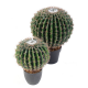 Cactus artificiel Echino Ø25 et Ø35cm