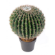 Cactus artificiel Echino Ø25 et Ø35cm