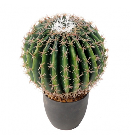 Cactus artificiel Echino Ø20 et Ø35cm