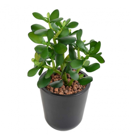 Crassula Jade Plant artificiel 30cm