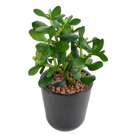 Crassula Jade Plant artificiel 30cm