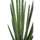 Sansevieria Cylindrica artificiel 90cm