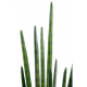 Sansevieria Cylindrica artificiel 90cm