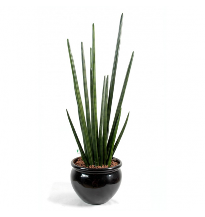 Sansevieria Cylindrica artificiel 90cm