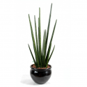 Sansevieria Cylindrica artificiel 90cm